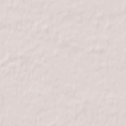 Pulyny Raion Terrain Map