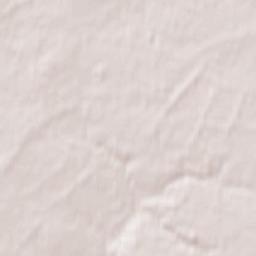 Kriukivschina Terrain Map