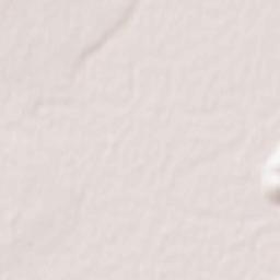 Priargunsk Terrain Map