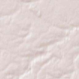 Pawłowiczki Terrain Map