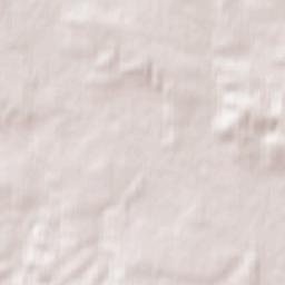 Kazimierza Wielka Terrain Map