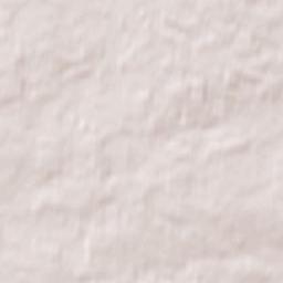 Brzóza Królewska Terrain Map