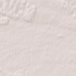 Dzików Stary Terrain Map