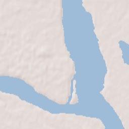 Blagoveshchensk Terrain Map