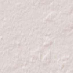 Radgoszcz Terrain Map