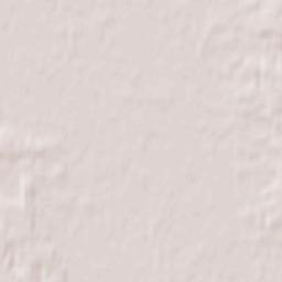 Borzęcin Terrain Map