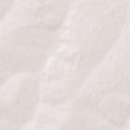 Zavitinsk Terrain Map