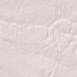 Goropayi Terrain Map