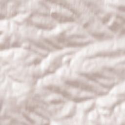 Niedźwiada Terrain Map