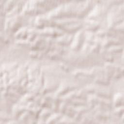 Pawłosiów Terrain Map