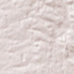 Starychi Terrain Map