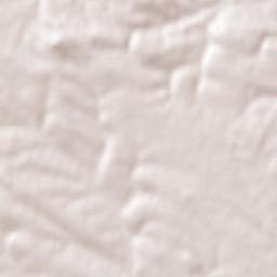 Pidkamin’ Terrain Map