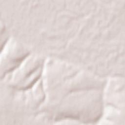 Slashchyovskaya Terrain Map