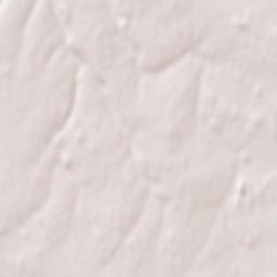 Néville Terrain Map