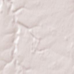 Bacqueville-en-Caux Terrain Map
