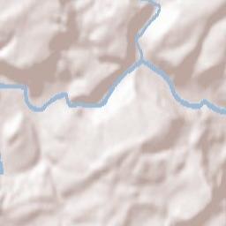 Ralingen Terrain Map