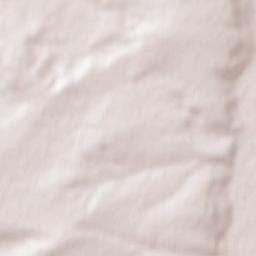 Guntersblum Terrain Map