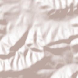 Jasienica Terrain Map