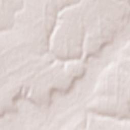 Popivka Terrain Map