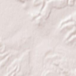 Raychikhinsk Terrain Map