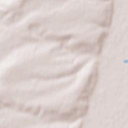 Bechtheim Terrain Map