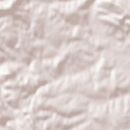 Jasienica Rosielna Terrain Map