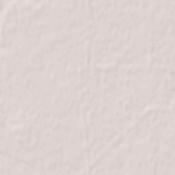 Rokytne Raion Terrain Map