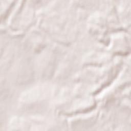 Gorod Raychikhinsk Terrain Map