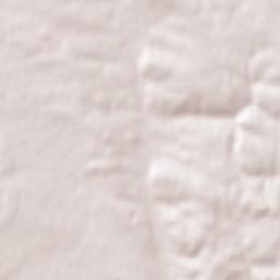 Pustomyty Terrain Map