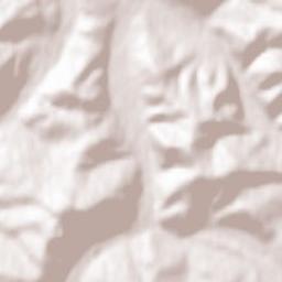 Niedźwiedź Terrain Map