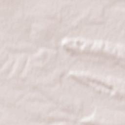 Shchyrets Terrain Map