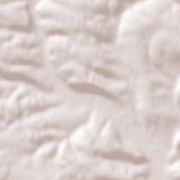 Pomoriany Terrain Map