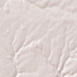 Buchy Terrain Map