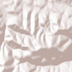 Lubomierz Terrain Map