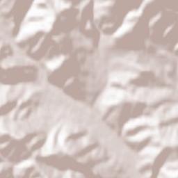 Kamienica Terrain Map