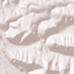 Kamionka Wielka Terrain Map