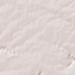 Saint-Romain-de-Colbosc Terrain Map