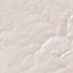 Ravenel Terrain Map