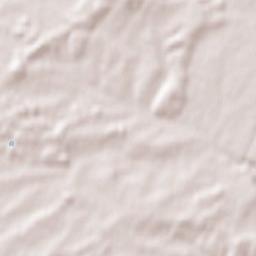 Frisange Terrain Map