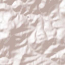 Reichenbach-Steegen Terrain Map