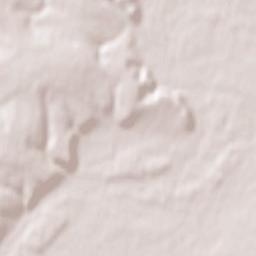 Novopskov Terrain Map