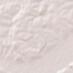 Rykhtychi Terrain Map