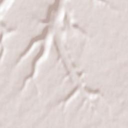 Beuzeville Terrain Map