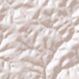 Martinshöhe Terrain Map