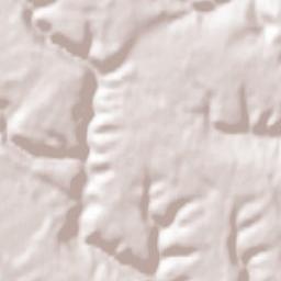 Neufchef Terrain Map