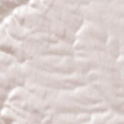 Pidhaytsi Terrain Map