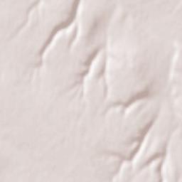 Kletskaya Terrain Map