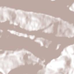 Pacific Rim Highway, Ucluelet, BC V0R 3A0 Terrain Map