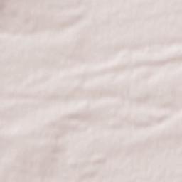 Bornheim Terrain Map