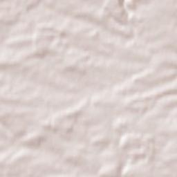 Bad Rappenau Terrain Map